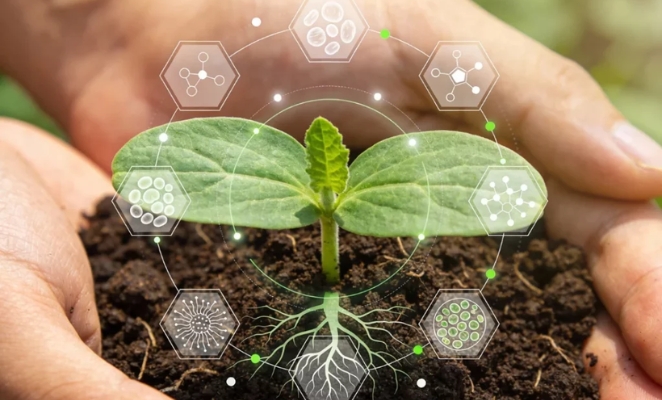 Biostimulants